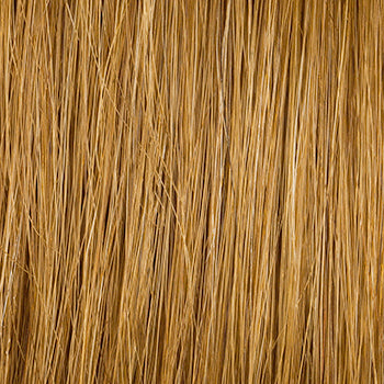 100% Human Hair Bangs