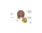It's Always Sunny by Hairdo – cap construction