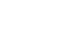 Paris Wigs